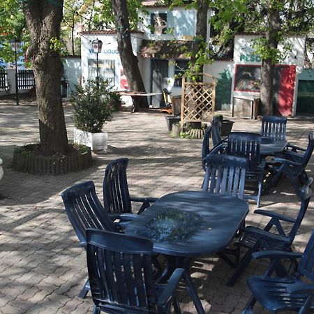 Pension Casa Topolino Wiener Neustadt Luaran gambar